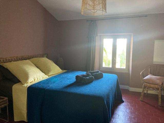 Casa 55 Hotel Tulette Ngoại thất bức ảnh